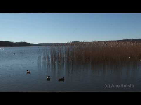 Rügen - Binz Schmachter See (HD Video)