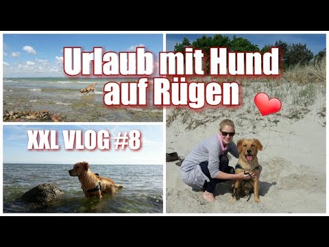 XXL VLOG #8 / Urlaub mit Hund auf Rügen
